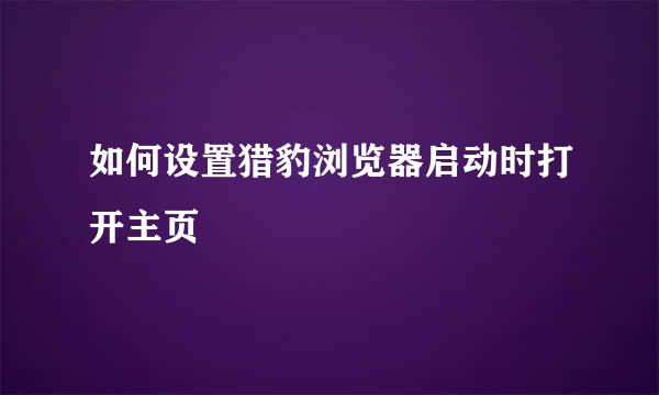 如何设置猎豹浏览器启动时打开主页