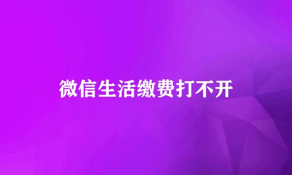 微信生活缴费打不开