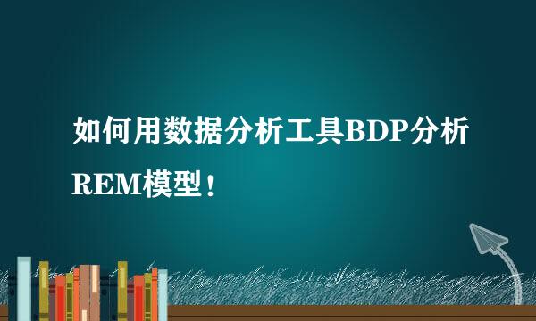 如何用数据分析工具BDP分析REM模型！