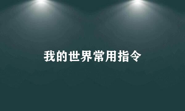 我的世界常用指令
