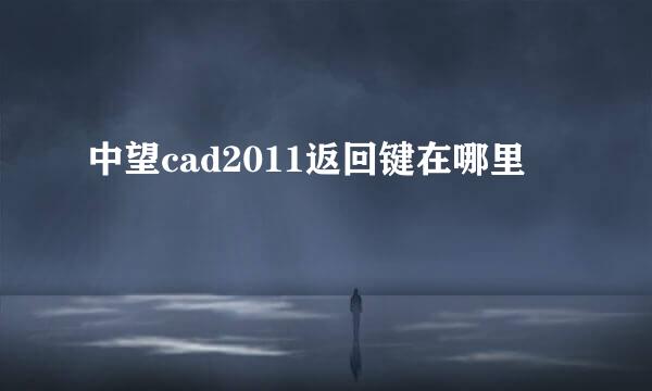 中望cad2011返回键在哪里