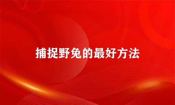 捕捉野兔的最好方法
