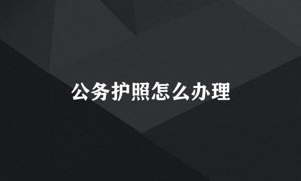 公务护照怎么办理