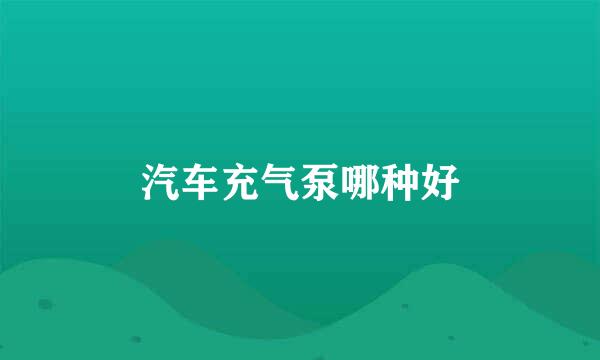 汽车充气泵哪种好