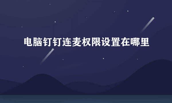 电脑钉钉连麦权限设置在哪里