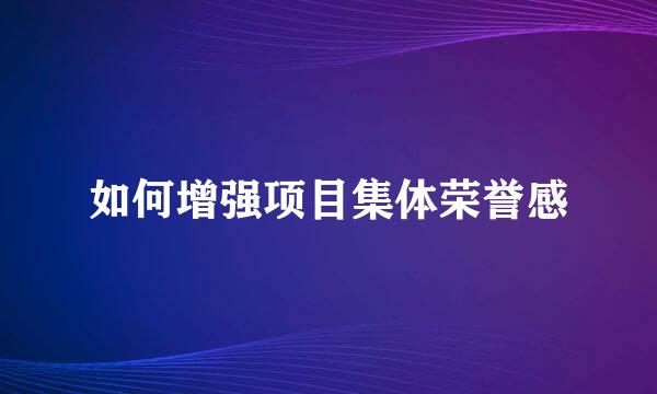 如何增强项目集体荣誉感