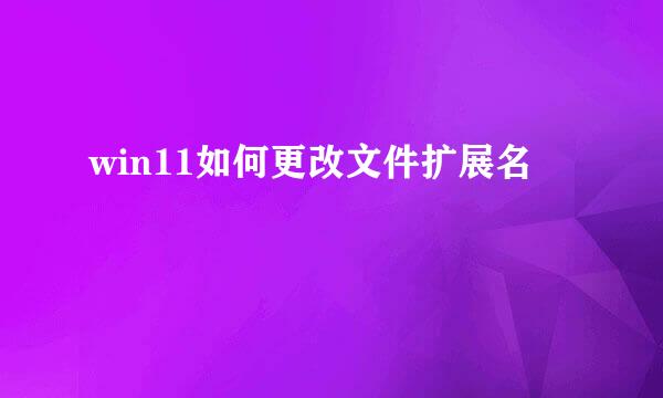 win11如何更改文件扩展名