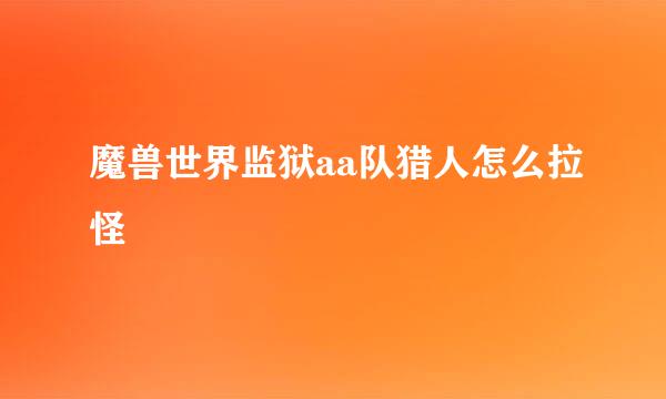 魔兽世界监狱aa队猎人怎么拉怪