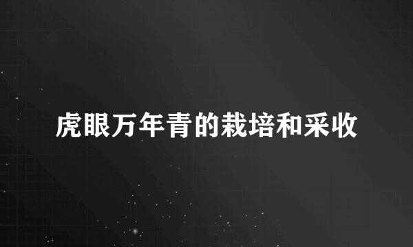 虎眼万年青的栽培和采收