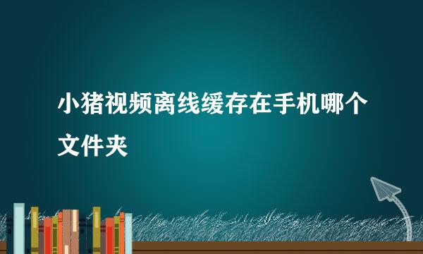 小猪视频离线缓存在手机哪个文件夹