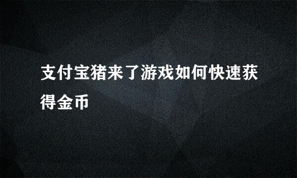 支付宝猪来了游戏如何快速获得金币