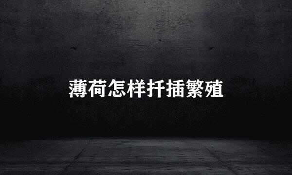 薄荷怎样扦插繁殖