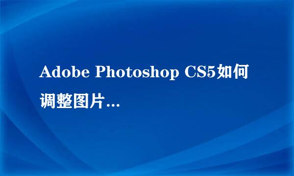Adobe Photoshop CS5如何调整图片各个色阶颜色