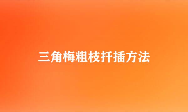 三角梅粗枝扦插方法