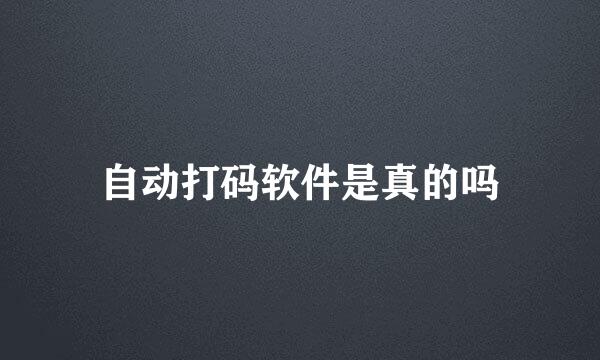 自动打码软件是真的吗
