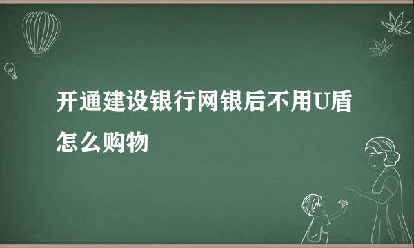 开通建设银行网银后不用U盾怎么购物
