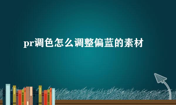 pr调色怎么调整偏蓝的素材