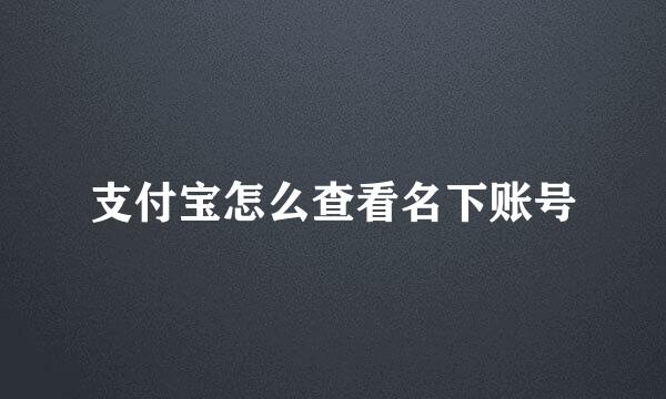 支付宝怎么查看名下账号