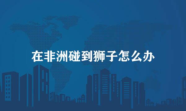 在非洲碰到狮子怎么办