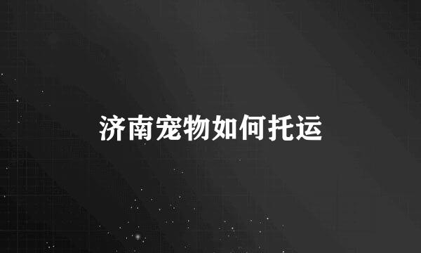 济南宠物如何托运