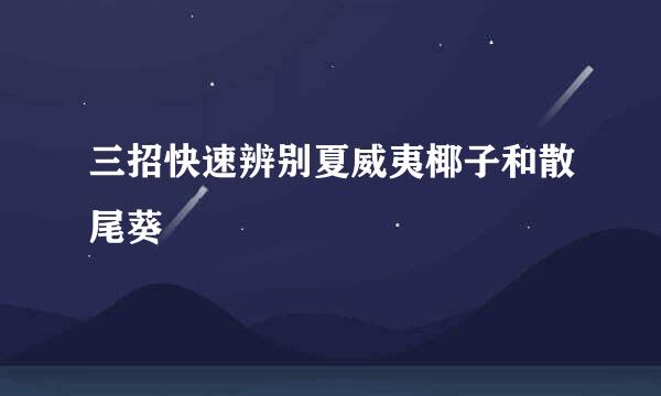 三招快速辨别夏威夷椰子和散尾葵