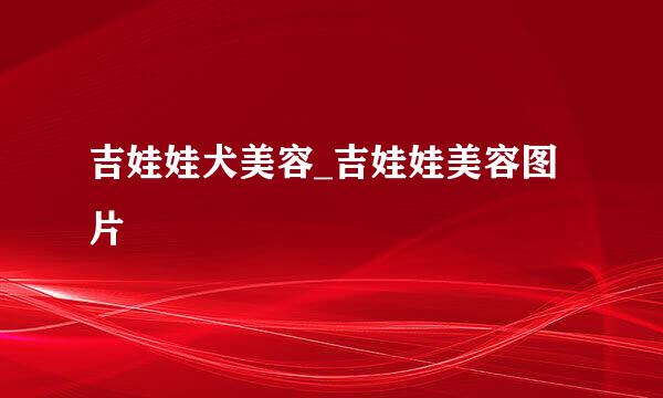 吉娃娃犬美容_吉娃娃美容图片