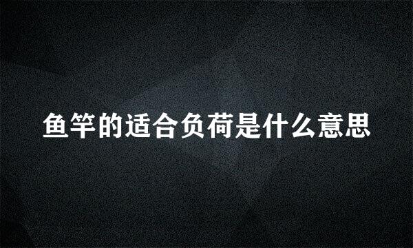 鱼竿的适合负荷是什么意思