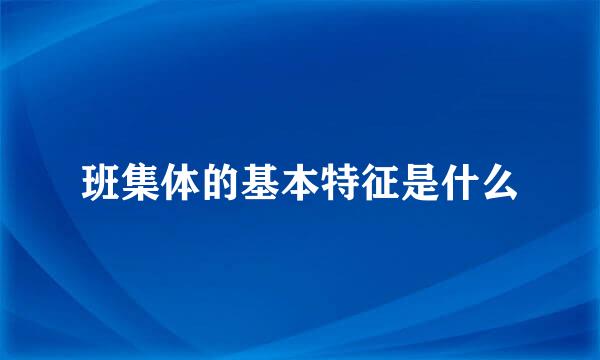 班集体的基本特征是什么