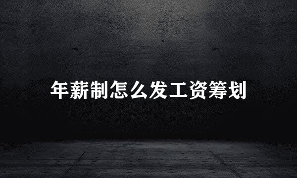 年薪制怎么发工资筹划