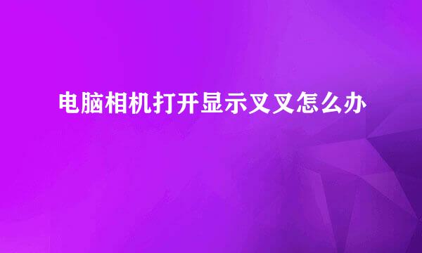 电脑相机打开显示叉叉怎么办
