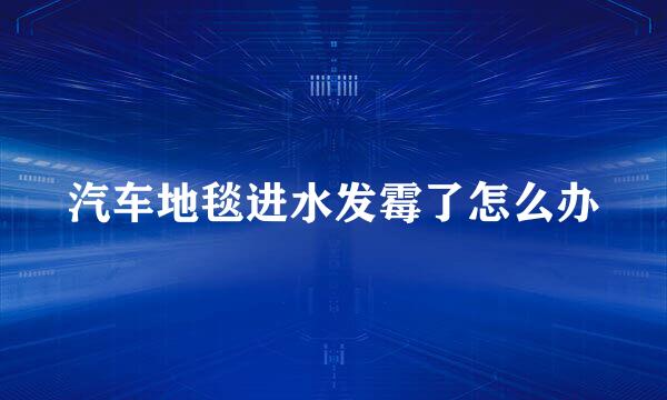 汽车地毯进水发霉了怎么办