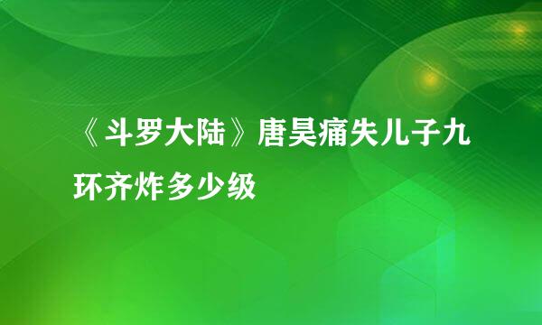 《斗罗大陆》唐昊痛失儿子九环齐炸多少级