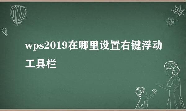 wps2019在哪里设置右键浮动工具栏