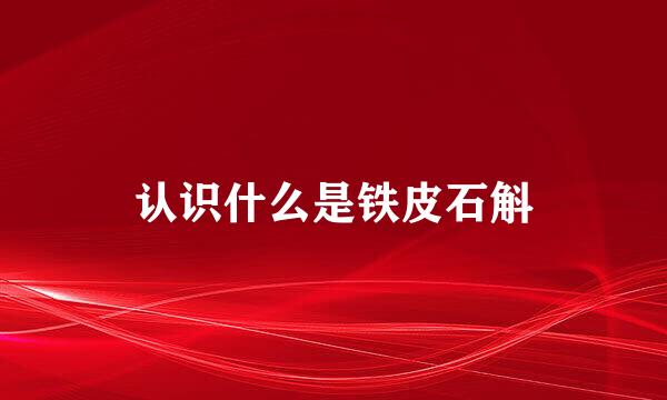 认识什么是铁皮石斛