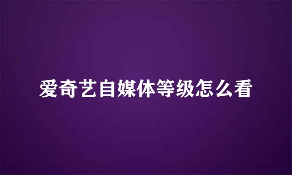 爱奇艺自媒体等级怎么看
