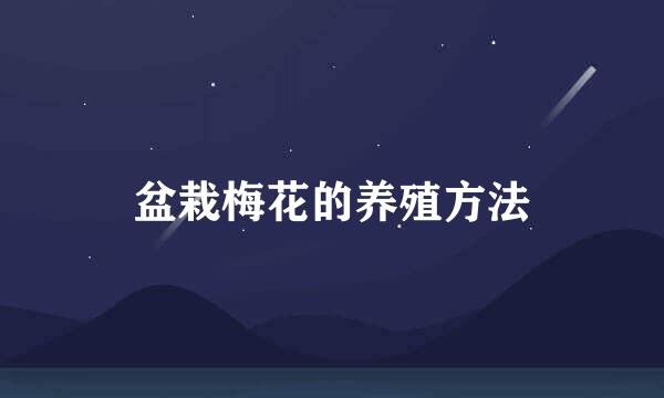 盆栽梅花的养殖方法