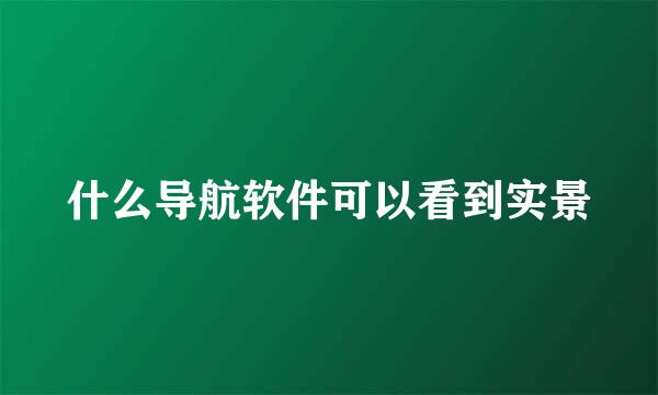 什么导航软件可以看到实景