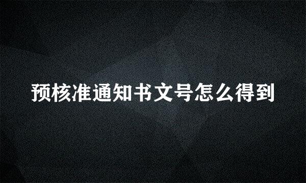 预核准通知书文号怎么得到