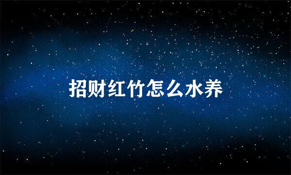 招财红竹怎么水养