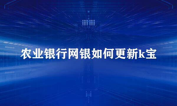农业银行网银如何更新k宝