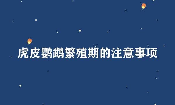 虎皮鹦鹉繁殖期的注意事项