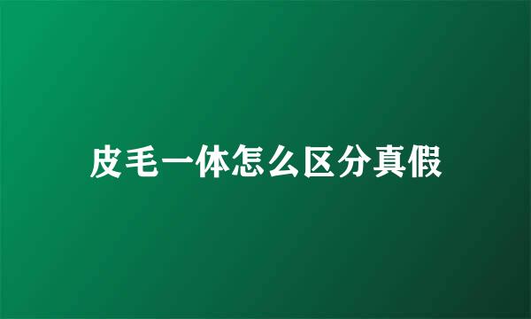 皮毛一体怎么区分真假