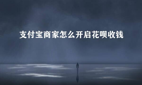 支付宝商家怎么开启花呗收钱