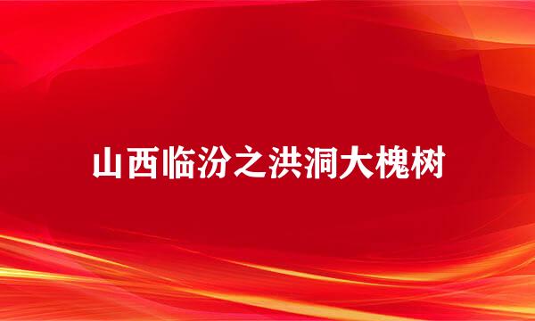 山西临汾之洪洞大槐树
