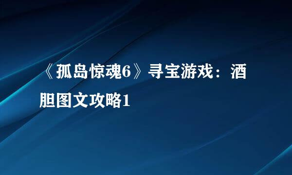 《孤岛惊魂6》寻宝游戏：酒胆图文攻略1
