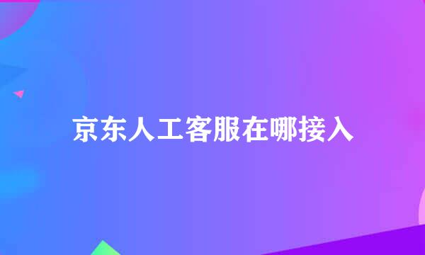 京东人工客服在哪接入
