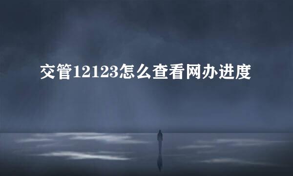 交管12123怎么查看网办进度