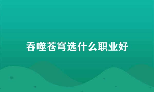 吞噬苍穹选什么职业好