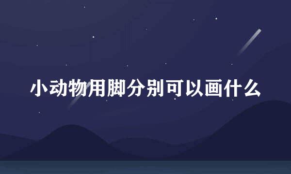 小动物用脚分别可以画什么