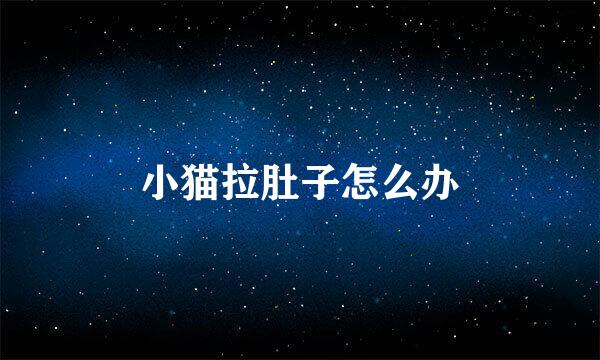 小猫拉肚子怎么办